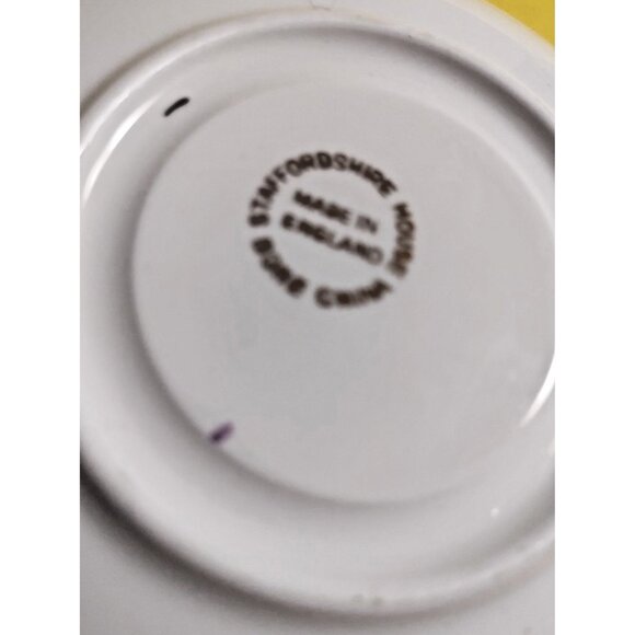 Staffordshire House Fine Bone China Hand Painted Tea Cup and Saucer - Picture 9 of 10